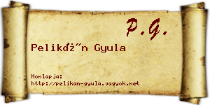 Pelikán Gyula névjegykártya